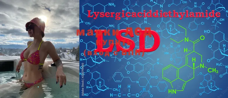 магазин продажи наркотиков  Лысково  LSD-25 экстази ecstasy 